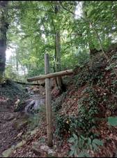 Quelle: Katholische Seelsorgeeinheit Klettgau-Wutöschingen, Martina Saurer